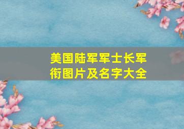 美国陆军军士长军衔图片及名字大全