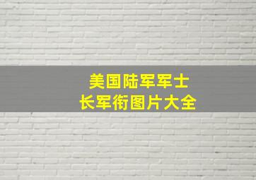 美国陆军军士长军衔图片大全