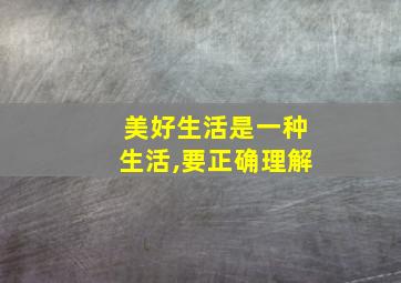 美好生活是一种生活,要正确理解