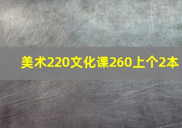 美术220文化课260上个2本