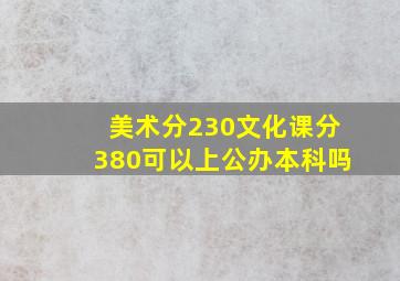 美术分230文化课分380可以上公办本科吗