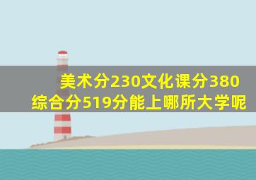 美术分230文化课分380综合分519分能上哪所大学呢