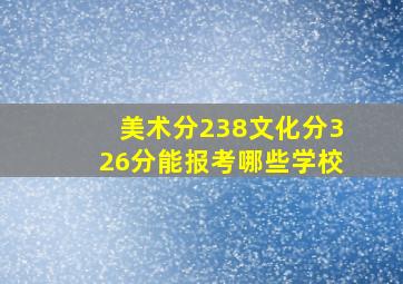 美术分238文化分326分能报考哪些学校