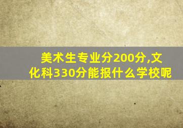 美术生专业分200分,文化科330分能报什么学校呢