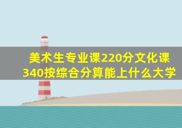 美术生专业课220分文化课340按综合分算能上什么大学