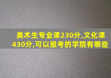 美术生专业课230分,文化课430分,可以报考的学院有哪些