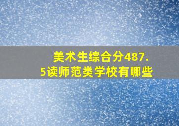 美术生综合分487.5读师范类学校有哪些