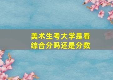 美术生考大学是看综合分吗还是分数