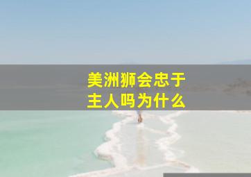 美洲狮会忠于主人吗为什么