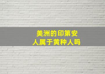 美洲的印第安人属于黄种人吗