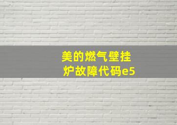 美的燃气壁挂炉故障代码e5