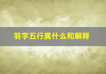 羽字五行属什么和解释