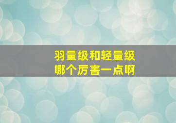 羽量级和轻量级哪个厉害一点啊