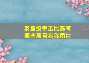 羽量级拳击比赛有哪些项目名称图片