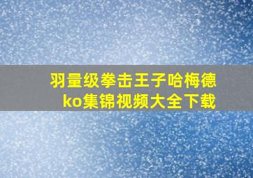 羽量级拳击王子哈梅德ko集锦视频大全下载