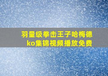 羽量级拳击王子哈梅德ko集锦视频播放免费