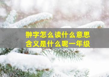 翀字怎么读什么意思含义是什么呢一年级