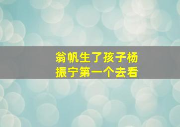 翁帆生了孩子杨振宁第一个去看