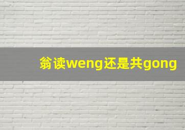 翁读weng还是共gong