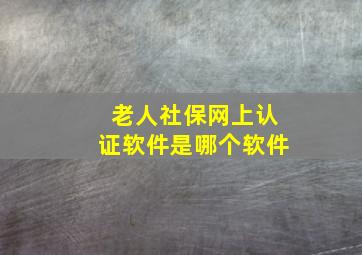 老人社保网上认证软件是哪个软件