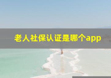 老人社保认证是哪个app