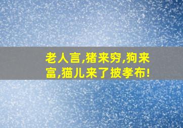 老人言,猪来穷,狗来富,猫儿来了披孝布!