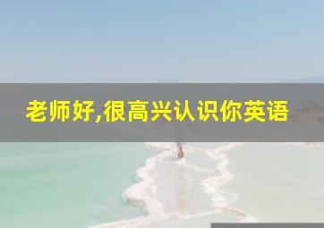 老师好,很高兴认识你英语