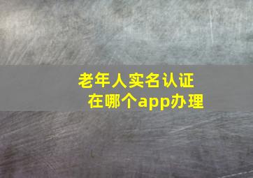 老年人实名认证在哪个app办理