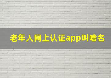 老年人网上认证app叫啥名