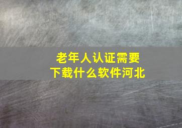 老年人认证需要下载什么软件河北