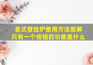 老式壁挂炉使用方法图解只有一个按钮的功能是什么