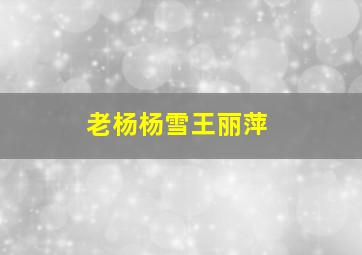 老杨杨雪王丽萍