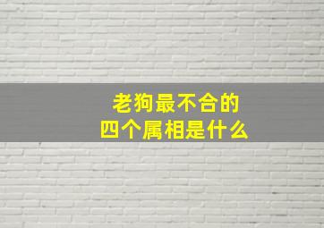 老狗最不合的四个属相是什么