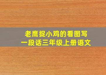 老鹰捉小鸡的看图写一段话三年级上册语文