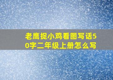 老鹰捉小鸡看图写话50字二年级上册怎么写