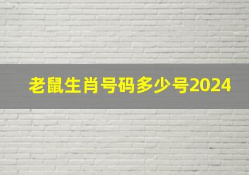 老鼠生肖号码多少号2024