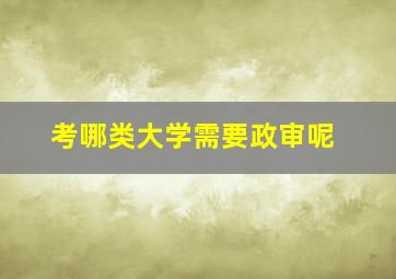 考哪类大学需要政审呢