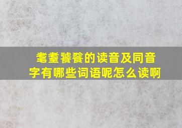 耄耋饕餮的读音及同音字有哪些词语呢怎么读啊