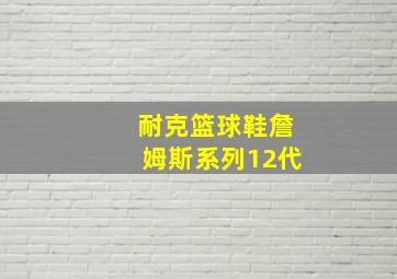 耐克篮球鞋詹姆斯系列12代