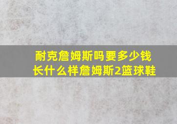 耐克詹姆斯吗要多少钱长什么样詹姆斯2篮球鞋