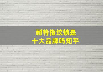 耐特指纹锁是十大品牌吗知乎