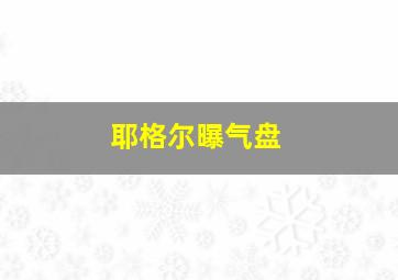 耶格尔曝气盘