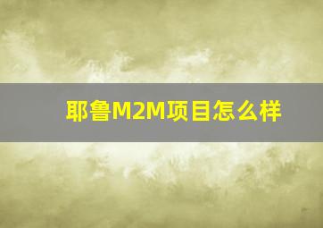 耶鲁M2M项目怎么样