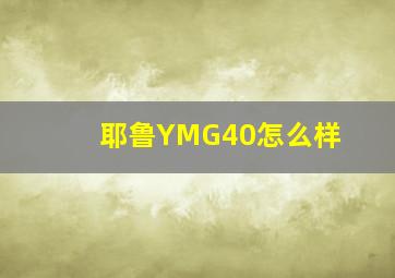 耶鲁YMG40怎么样