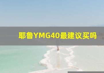 耶鲁YMG40最建议买吗