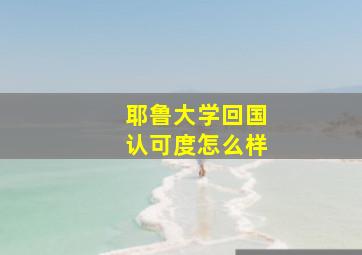 耶鲁大学回国认可度怎么样