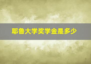 耶鲁大学奖学金是多少