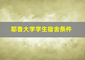 耶鲁大学学生宿舍条件