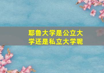 耶鲁大学是公立大学还是私立大学呢