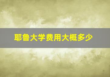 耶鲁大学费用大概多少